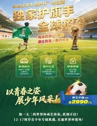 训练教学